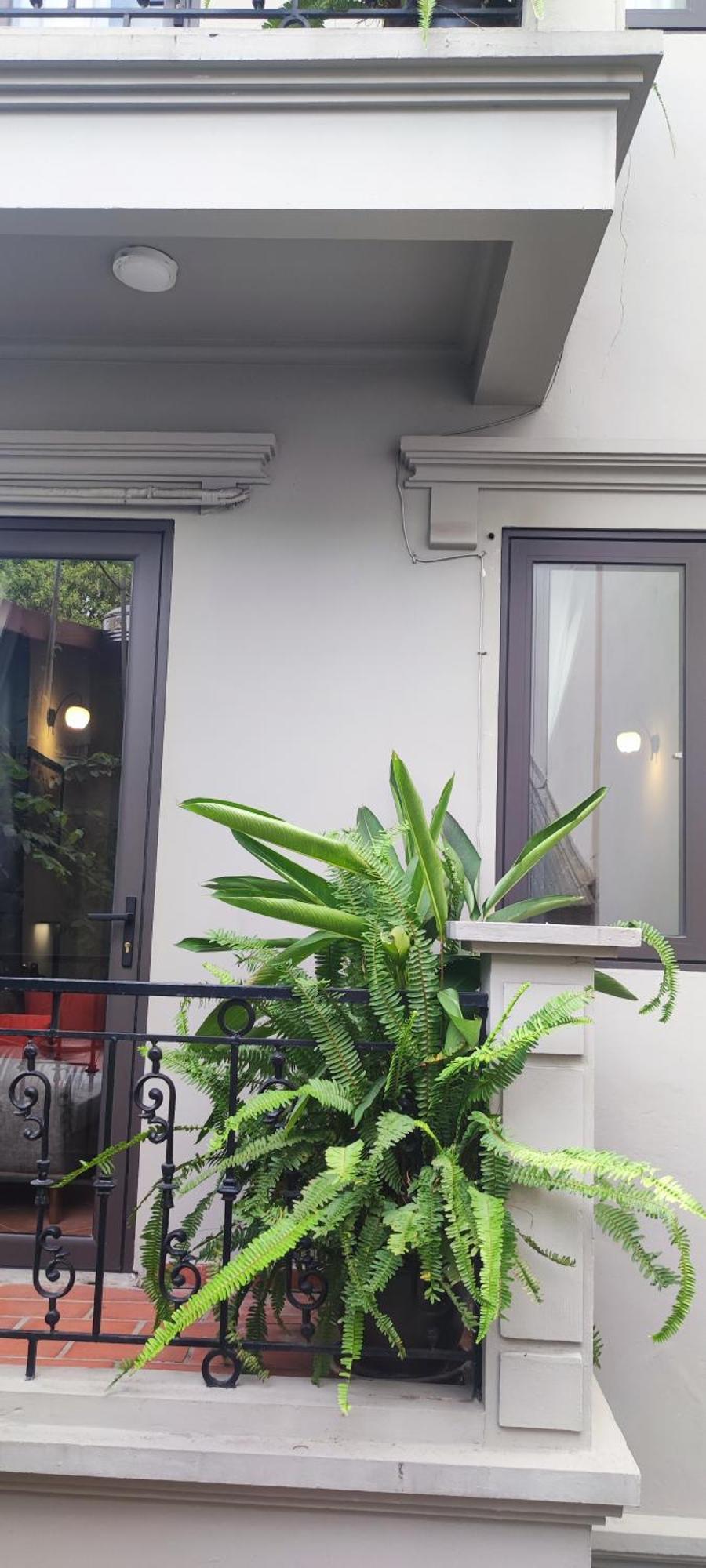 T Home Balcony Homestay Ανόι Εξωτερικό φωτογραφία