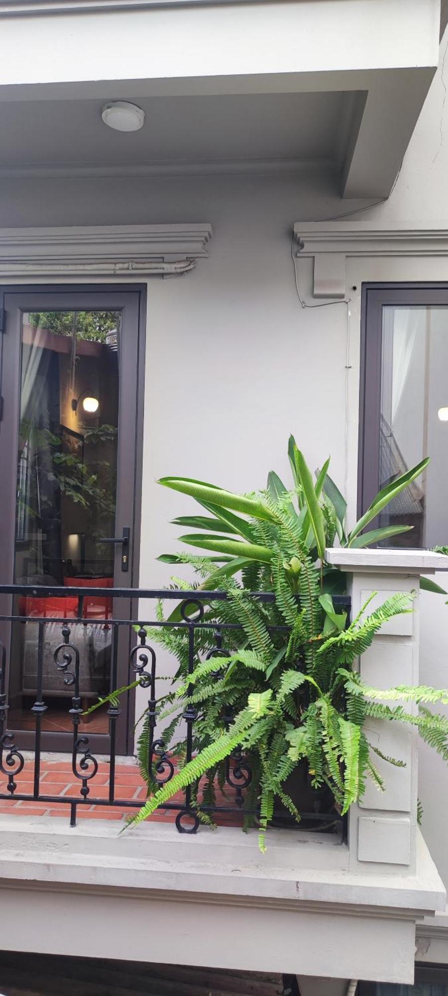 T Home Balcony Homestay Ανόι Εξωτερικό φωτογραφία